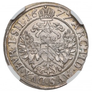 Schlesien, Leopold I., 6 Krajcars 1677 CB, Brzeg - NGC MS65