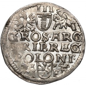 Sigismund III. Wasa, Trojak 1595, Wschowa - gemünzt