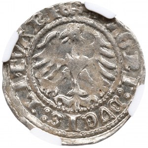 Sigismund I. der Alte, Halber Pfennig 1512, Vilnius - NGC MS62