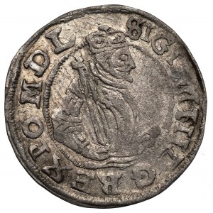 Sigismund III. Vasa, Pfennig 1598, Lublin - der MEISTE Irrtum