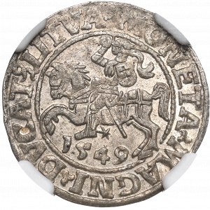 Sigismund II Augustus, Halbpfennig 1549, Wilna - LI/LITVA - NGC MS63