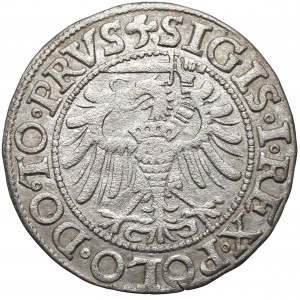 Sigismund I. der Alte, Grosz 1538, Elbląg - RARE