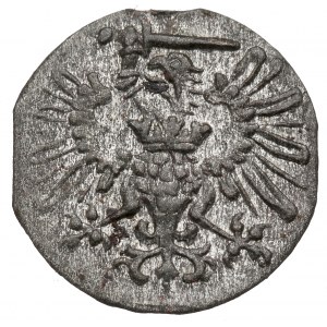 Sacklosigkeit, Denar 1573, Danzig - zwölfeckiger Schild