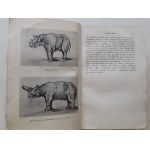 WELSS H.G. - HISTORJA ŚWIATA z 40 ilustracjami i 10 mapami Bibljoteka Wiedzy Tom 14