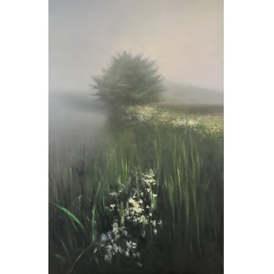 Waldemar Pawlikowski, Meadow 3