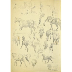 Ludwik MACIĄG (1920-2007), Szkice konia i jeźdźca na koniu – w wielu ujęciach