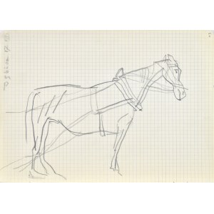 Jerzy PANEK (1918-2001), Ein Pferd im Zaumzeug