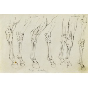 Tadeusz RYBKOWSKI (1848-1926), Die Beine eines Pferdes