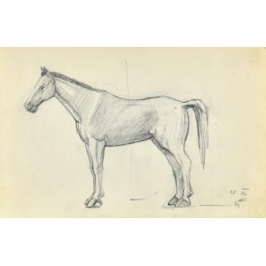 Stanisław ŻURAWSKI (1889-1976), Skizze eines Pferdes von der linken Seite, 1921