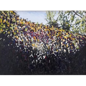 Jacek Barszcz, Autumn Wall