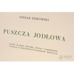 Stefan Żeromski PUSZCZA JODŁOWA Mortkowicz 1926 Oprawa wydawnicza