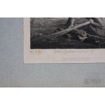 SZTYCHY DRZEWORYTY I CHROMOLITOGRAFIE 400 grafik, dwa albumy z XIX wieku