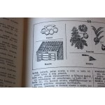 M. ARCTA DICTIONARY OF THE POLISH LANGUAGE 1939