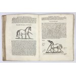 Pojednání o zapřahání, jízdě a podkování koní (v italštině) z roku 1628 