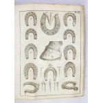 Ein Kompendium der hippologischen Kenntnisse aus dem achtzehnten Jahrhundert (auf Französisch) von F. A. Garsault, 1746,...