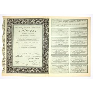 NITRAT, Chemical Works, joint stock company [...]. Five bearer shares of the first issue at 500 marks each.