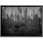 [Polské legie - boje a každodenní život - situační fotografie]. [1915/1916]. Soubor 36 skleněných desek form....