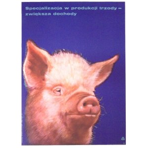 WIKTOROWSKI Janusz - Spezialisierung in der Schweineproduktion - Steigerung des Einkommens. 1977.