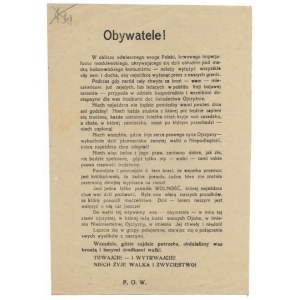 Flugblatt - Aufruf zu Ablenkungsmanövern im Rücken der bolschewistischen Armee im Jahr 1920