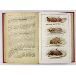 IZDEBSKA Jadwiga - Polish Cuisine. A practical handbook containing 1601 recipes and farm experiences, dispos...