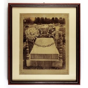 [DE LAVEAUX Stanisław Ludwik - nagrobek na cmentarzu - fotografia widokowa]. [1894]. Fotografia form....