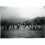 [GÓRY - Zakopane - górale w pokazie tanecznym na tle Tatr - fotografie sytuacyjne]. [l. 20. XX w.]...