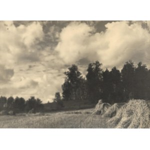 [PEJZAŻ w okolicach Wilna w porze letniej - fotografia widokowa]. [1931]. Fotografia form. 12,6x17,...