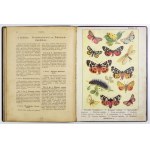 B. Dyakowski - Atlas motyli krajowych. 218 wizerunków. 1906.