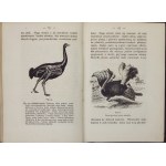 PETTIGREW J. Bell - Tierbewegungen, oder Gehen, Fliegen und Schwimmen, zusammen mit einer Abhandlung über Aeronautik. Übersetzt aus dem Englischen...