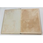 Olbrzymy świata roślin, 16 litografii, 1863 r. (Pałac w Bożkowie)