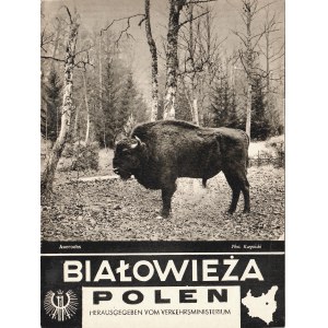 BIAŁOWIEŻA. Polen. [Warszawa]: Wyd. Ministerstwa Komunikacji, [1935]. - [12] s., fot., plan. 16 cm, brosz...