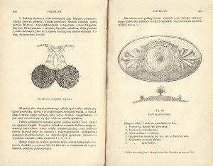 JANKOWSKI Edmund: Ogród przy dworze wiejskim przez... Wydanie drugie poprawione i dopełnine. T. 1-2. Warszawa...