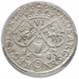 Szóstak Kraków 1682 w koronie