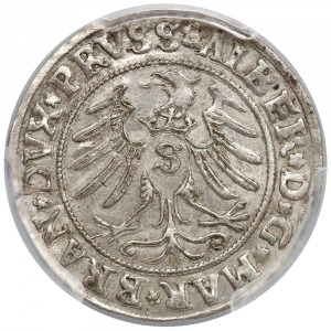 Grosz Królewiec 1531