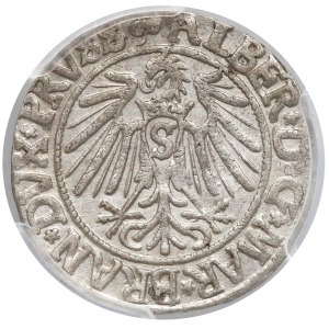 Grosz Królewiec 1541