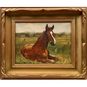 Undetermined painter, ''Foal in the Meadow''