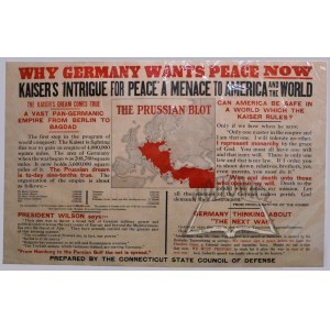(I WOJNA światowa). Why Germany wants peace now. (Dlaczego Niemcy chcą teraz pokoju).