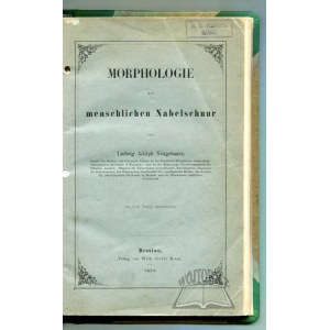 NEUGEBAUER Ludwik Adolf, Morphologie der menschlichen Nabelschnur.