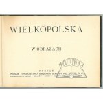 WIELKOPOLSKA w obrazach.