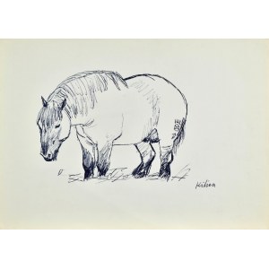 Ludwik MACIĄG (1920-2007), Skizze eines Pferdes - Kilian