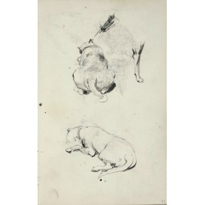 Stanislaw KACZOR BATOWSKI (1866-1945), Studies of a lying dog