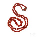 A single strand polished coral bead necklace, late 19th/early 20th century