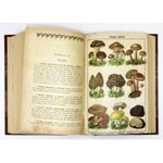 OCHOROWICZ-MONATOWA Marya - Uniwersalna książka kucharska z ilustracyami i kolorowemi tablicami odznaczona na wystawie h...