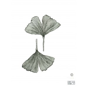 Violetta Arnesen, Ginkgo (seria Liście)