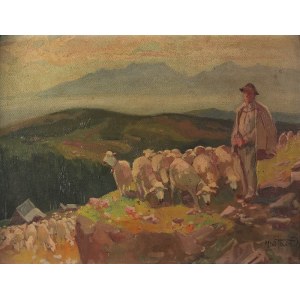 Michał STAŃKO (1901-1969), Wypas owiec
