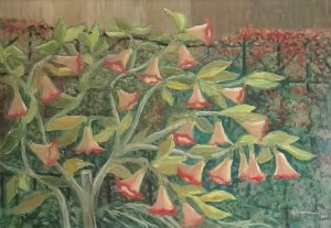 Jan HRYNKOWSKI (1891-1971), Datura w ogrodzie, 1960