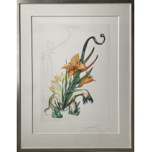 Salvador Dali (1904-1989), Hemerociallis Thumbergii Elephanter Furiosa z cyklu Surrealistyczne kwiaty
