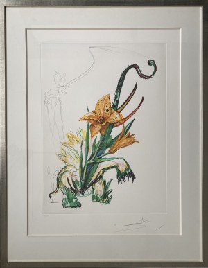 Salvador Dali (1904-1989), Hemerociallis Thumbergii Elephanter Furiosa z cyklu Surrealistyczne kwiaty