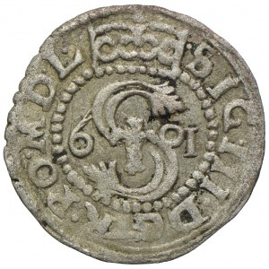 Zygmunt III Waza, szeląg 1601, Wschowa
