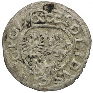 Zygmunt III Waza, szeląg 1601, Wschowa